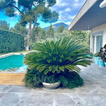 Chambre Luxe Dans Villa De Standing Avec Piscine, Acces Discret Et Independant, Terrasse Arboree Et Parking Prive La Valette-du-Var Zewnętrze zdjęcie