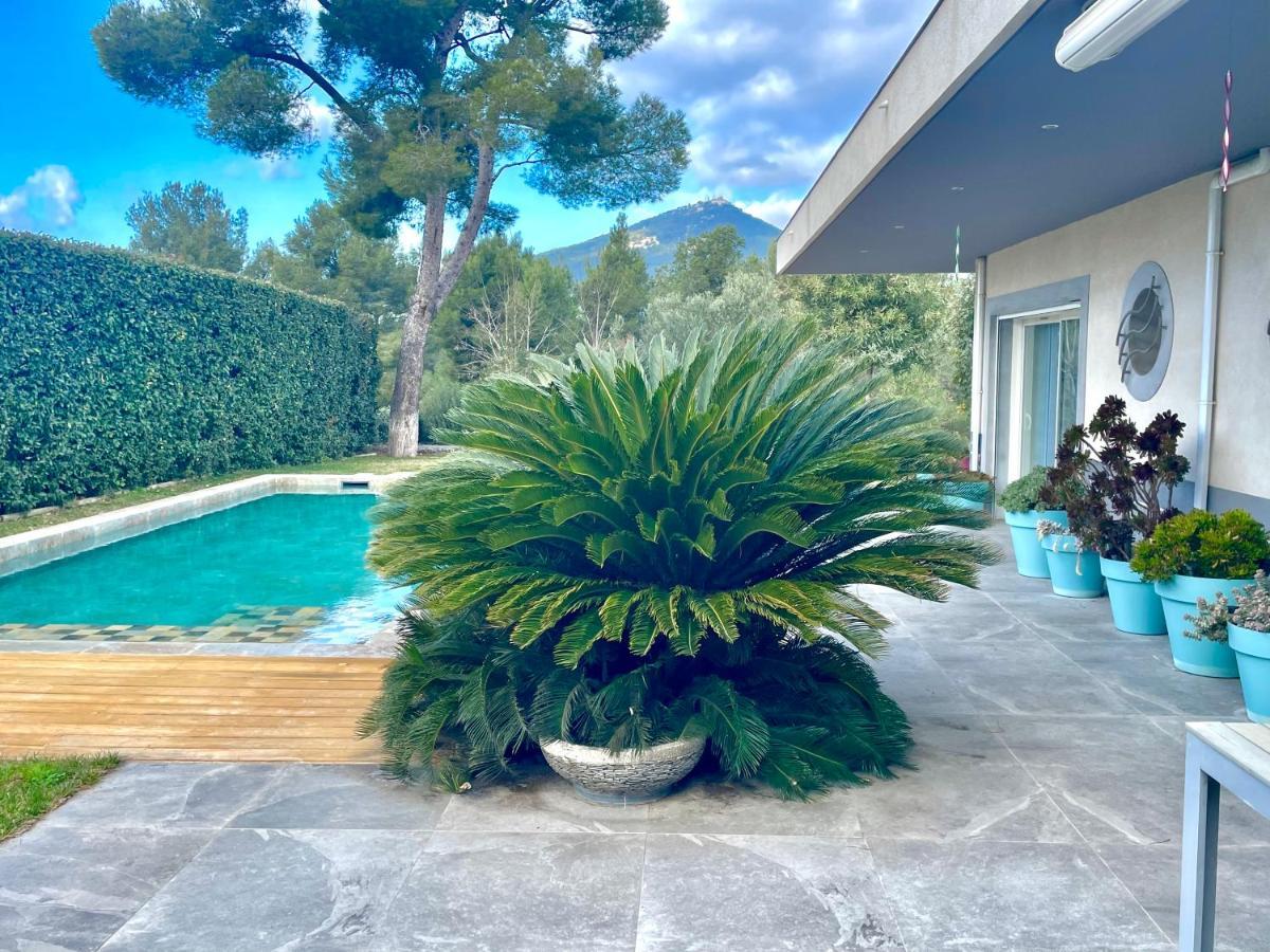 Chambre Luxe Dans Villa De Standing Avec Piscine, Acces Discret Et Independant, Terrasse Arboree Et Parking Prive La Valette-du-Var Zewnętrze zdjęcie